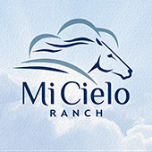 Michilo company logo